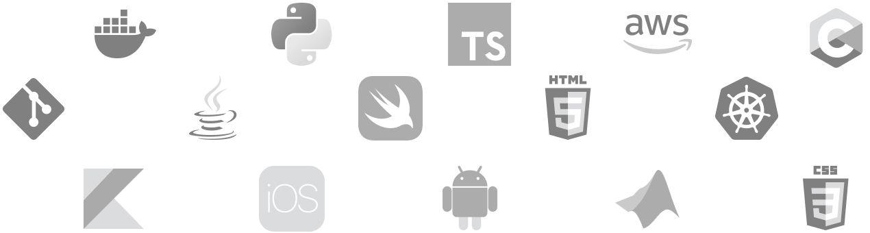 The tools and programming languages you will be using